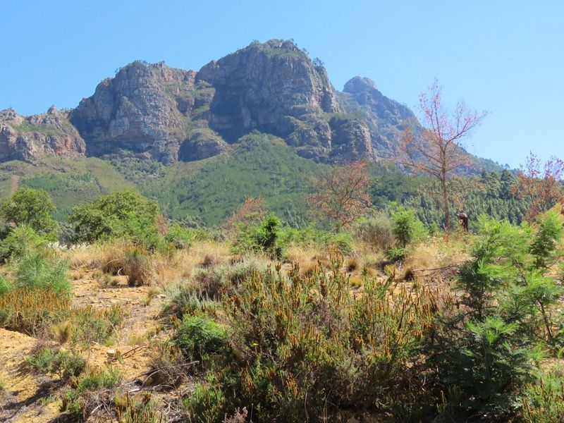 Large vacant corner stand in Mentoor Mountain Estate - Photo 5