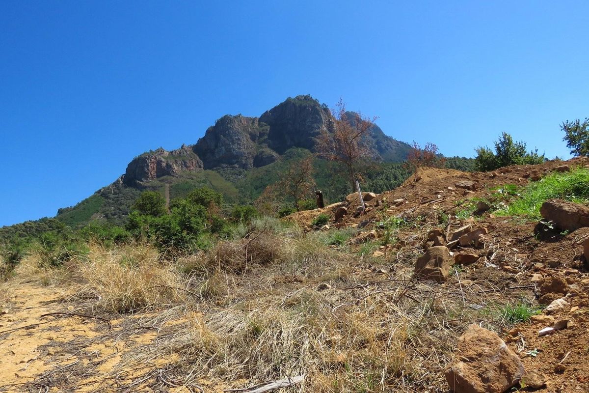 Large vacant corner stand in Mentoor Mountain Estate - Photo 4