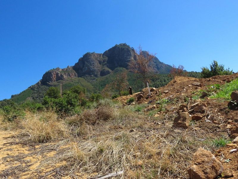 Large vacant corner stand in Mentoor Mountain Estate - Photo 4