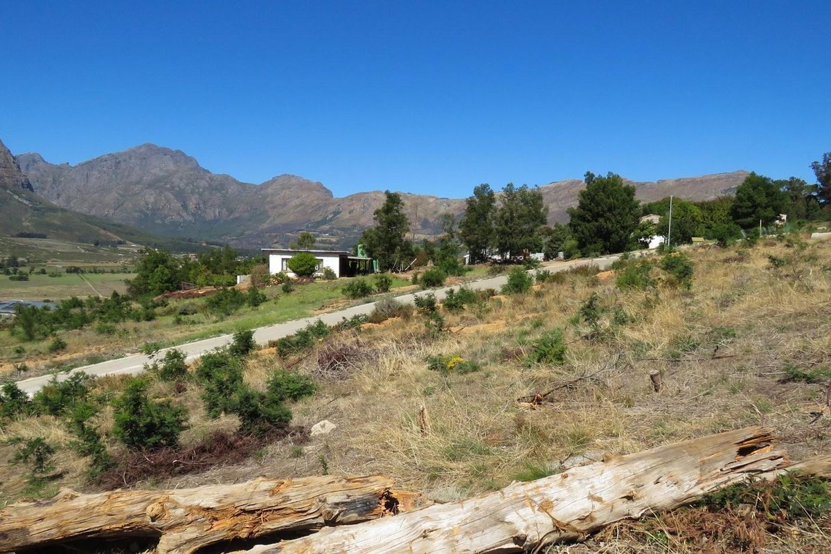 Large vacant corner stand in Mentoor Mountain Estate - Photo 3