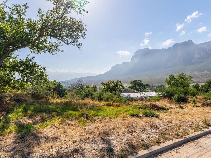 Great views from last remaining stands in Johannesdal estate - Photo 7