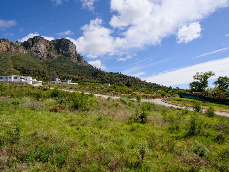 Fantastic views from the last remaining stand in Phase 2 of Mentoor Mountain Estate - Photo 9