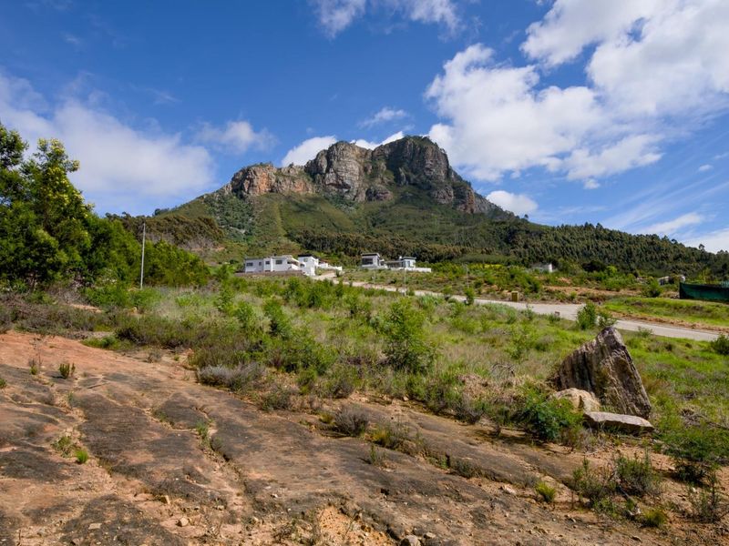 Fantastic views from the last remaining stand in Phase 2 of Mentoor Mountain Estate - Photo 6