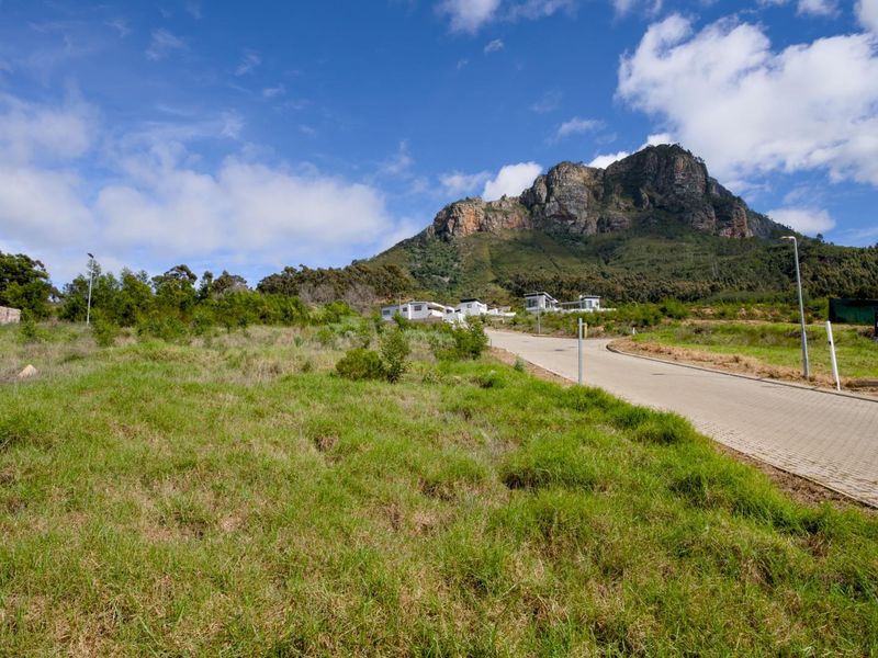 Fantastic views from the last remaining stand in Phase 2 of Mentoor Mountain Estate - Photo 3