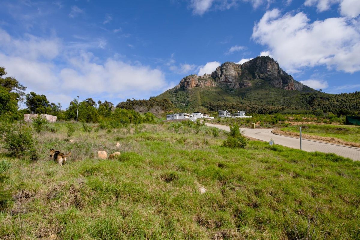 Fantastic views from the last remaining stand in Phase 2 of Mentoor Mountain Estate - Photo 4