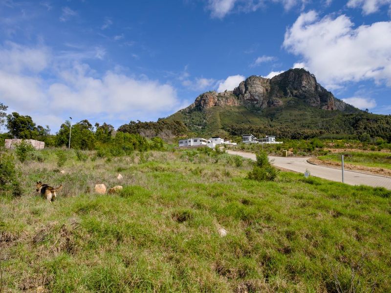Fantastic views from the last remaining stand in Phase 2 of Mentoor Mountain Estate - Photo 4