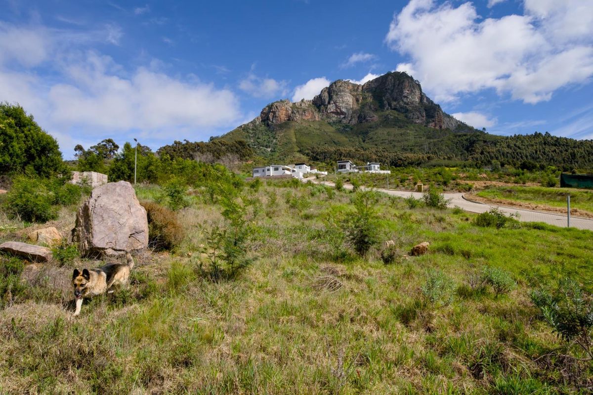 Fantastic views from the last remaining stand in Phase 2 of Mentoor Mountain Estate - Photo 5