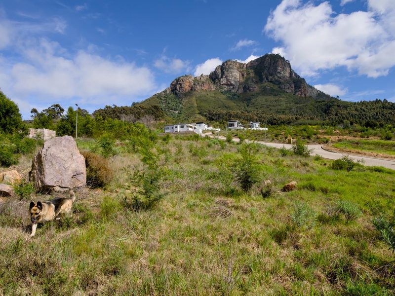 Fantastic views from the last remaining stand in Phase 2 of Mentoor Mountain Estate - Photo 5