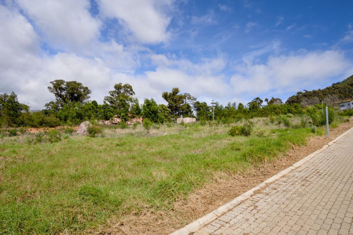 Fantastic views from the last remaining stand in Phase 2 of Mentoor Mountain Estate - Photo 2