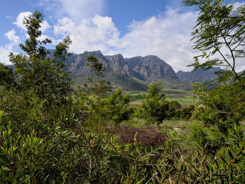 Fantastic views from the last remaining stand in Phase 2 of Mentoor Mountain Estate - Photo 1