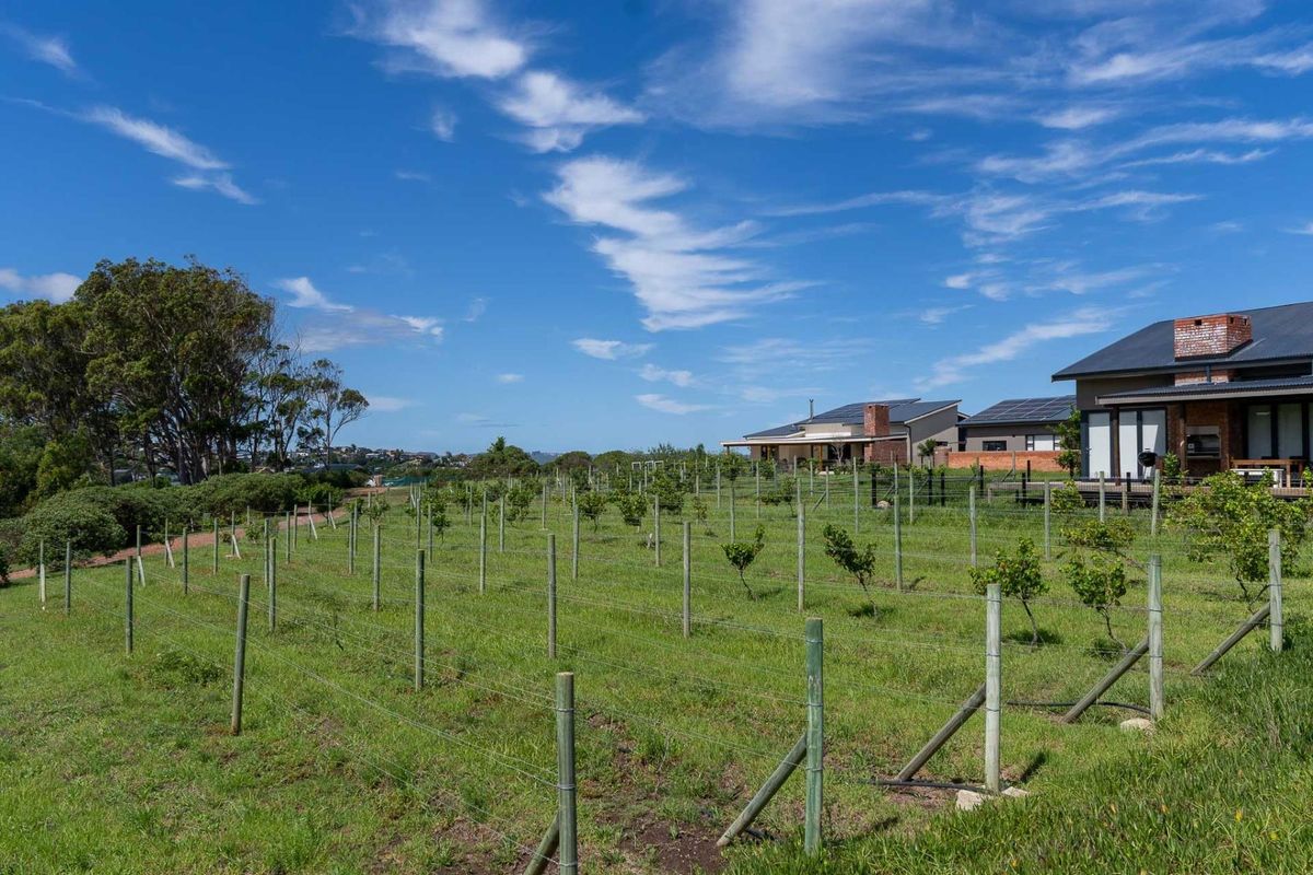 DON’T MISS THE LAST CALL: Secure Your Slice of the Welbedacht Hilltop - Plot and Plan - Photo 4