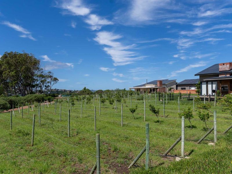 DON’T MISS THE LAST CALL: Secure Your Slice of the Welbedacht Hilltop - Plot and Plan - Photo 4