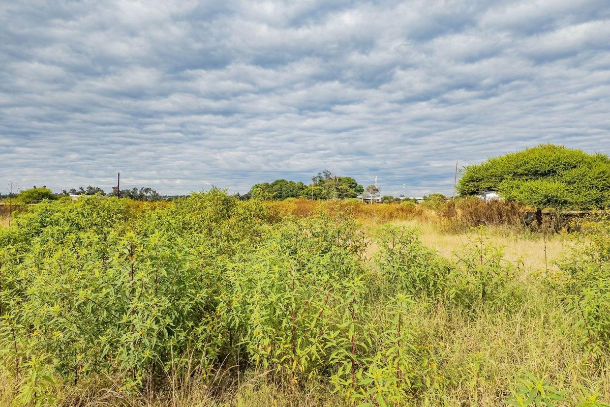 Prime Industrial Stand in Magna Via - Ready for Development - Photo 5