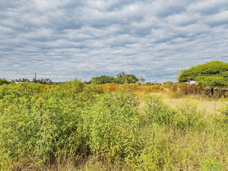 Prime Industrial Stand in Magna Via - Ready for Development - Photo 5