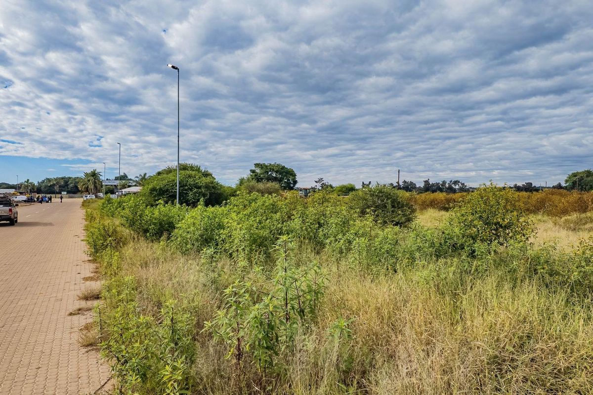 A view of the vacant residential land parcel from the adjacent paved street, featuring natural vegetation and established street lighting.
