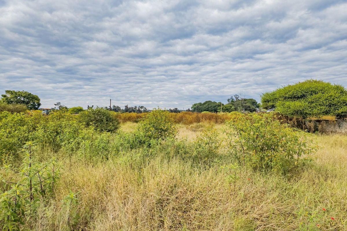 A view of a vacant residential plot featuring natural vegetation, native shrubs, and open land, suitable for future development.