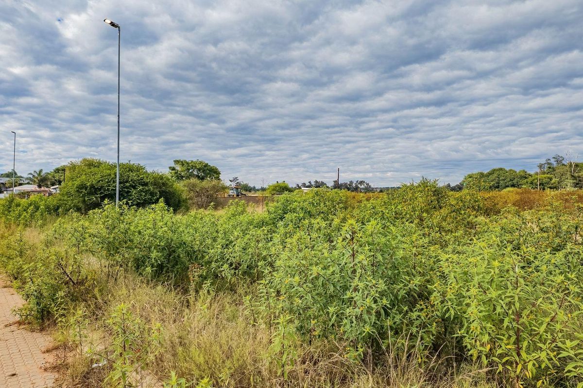 A view of a vacant residential plot featuring natural vegetation, a paved walkway, and street lighting infrastructure.