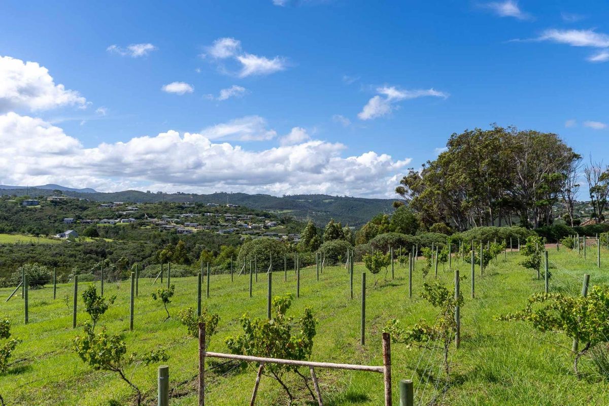 THE FINAL TWO: Your Off-Grid Sanctuary in The Orchards - Photo 3