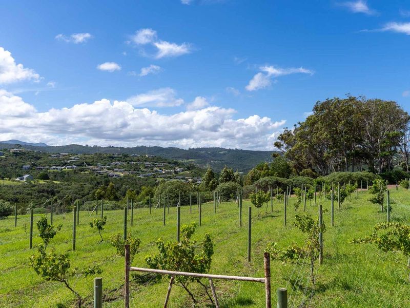 THE FINAL TWO: Your Off-Grid Sanctuary in The Orchards - Photo 3