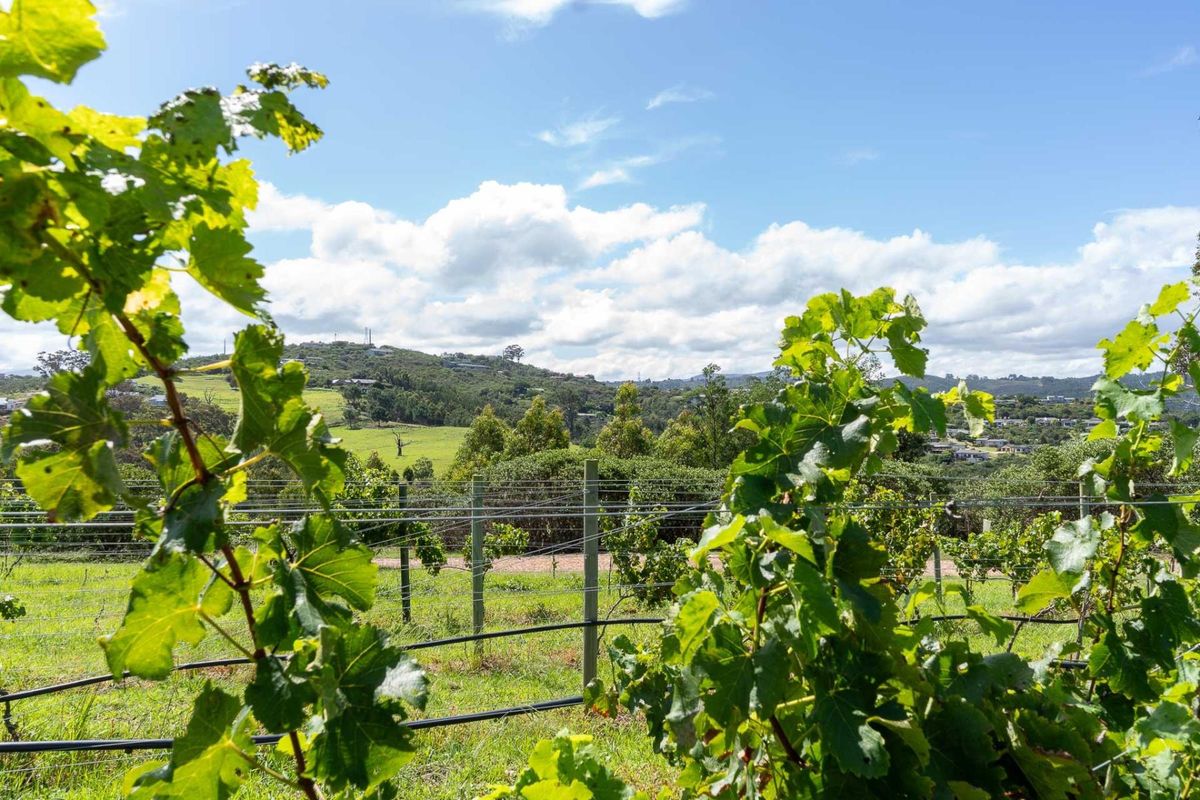 THE FINAL TWO: Your Off-Grid Sanctuary in The Orchards - Photo 2