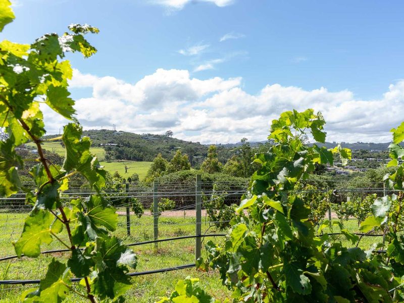 THE FINAL TWO: Your Off-Grid Sanctuary in The Orchards - Photo 2