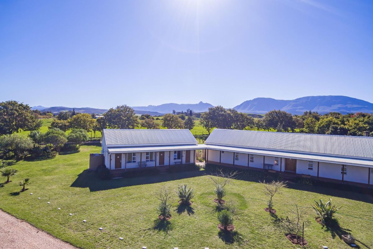 Beautiful small holding with spacious House and shed 2km from Riversdale WC - Photo 2