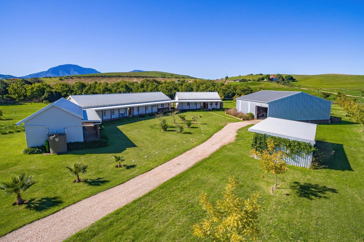 Beautiful small holding with spacious House and shed 2km from Riversdale WC - Photo 5