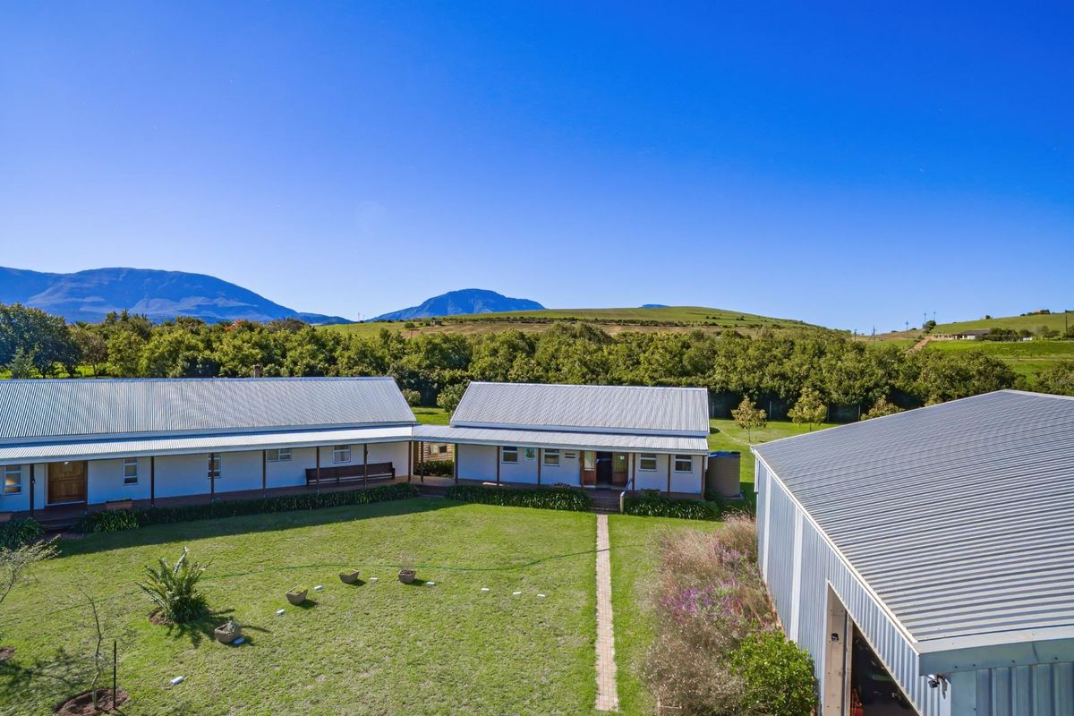 Beautiful small holding with spacious House and shed 2km from Riversdale WC - Photo 3