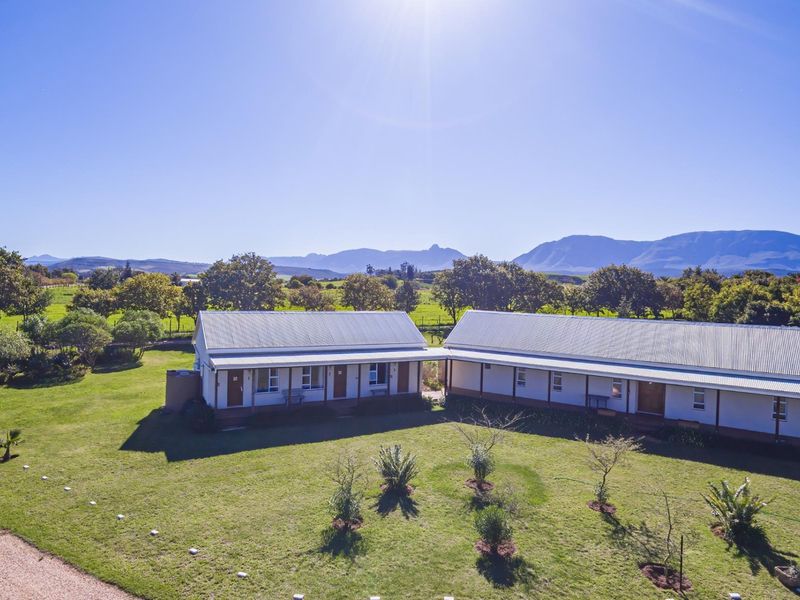 Beautiful small holding with spacious House and shed 2km from Riversdale WC - Photo 2