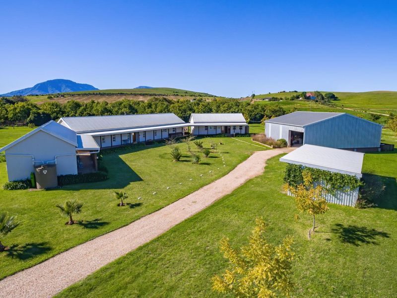 Beautiful small holding with spacious House and shed 2km from Riversdale WC - Photo 5