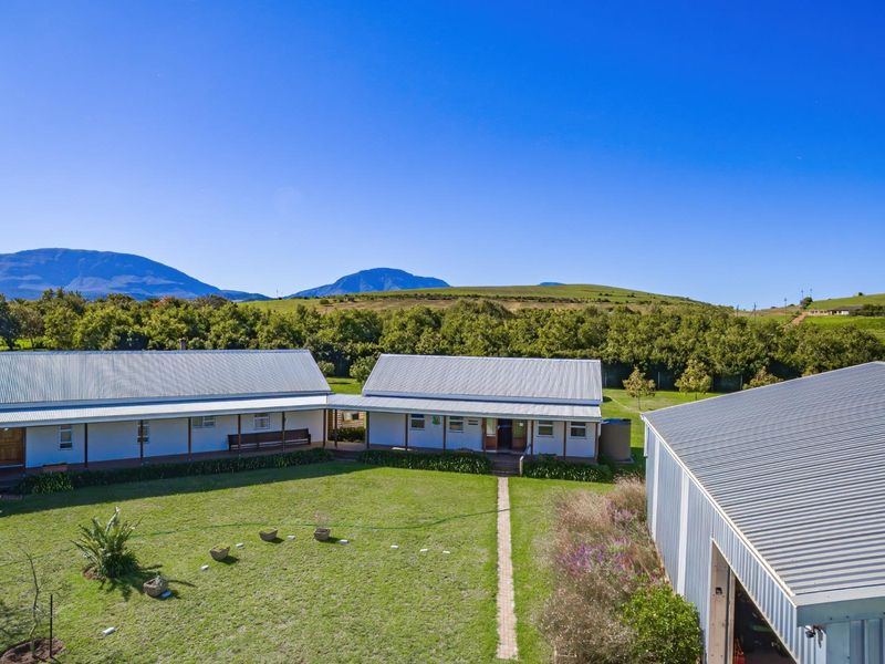 Beautiful small holding with spacious House and shed 2km from Riversdale WC - Photo 3