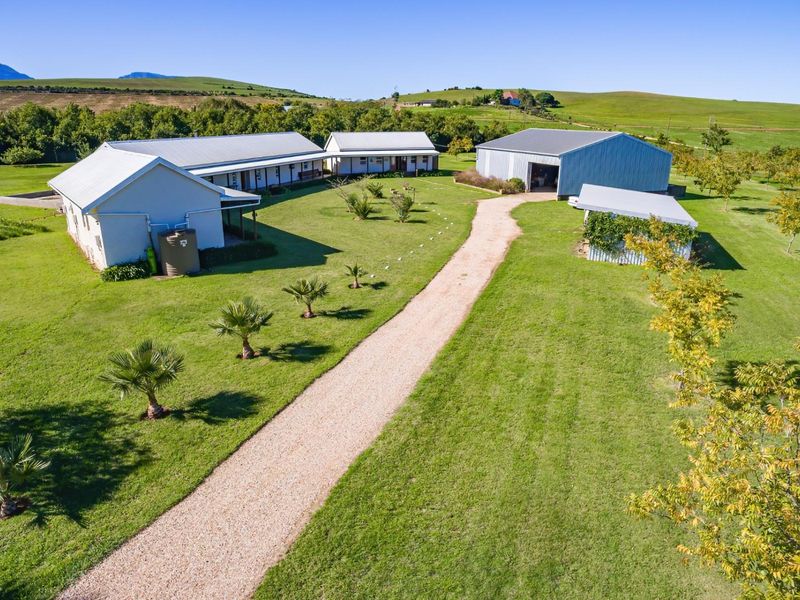 Beautiful small holding with spacious House and shed 2km from Riversdale WC - Photo 9