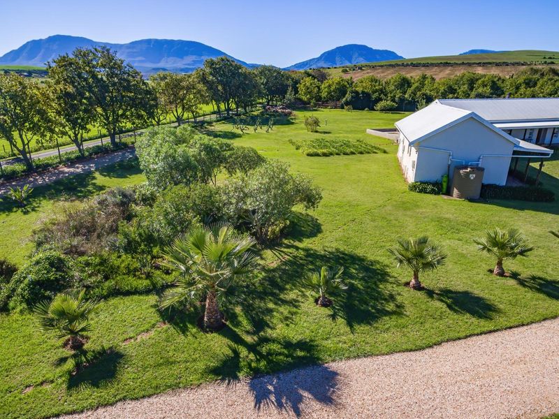 Beautiful small holding with spacious House and shed 2km from Riversdale WC - Photo 8