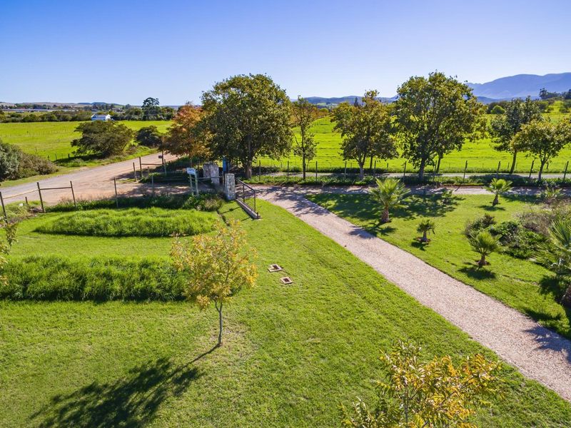 Beautiful small holding with spacious House and shed 2km from Riversdale WC - Photo 7