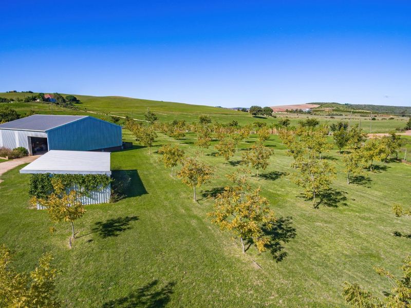 Beautiful small holding with spacious House and shed 2km from Riversdale WC - Photo 6