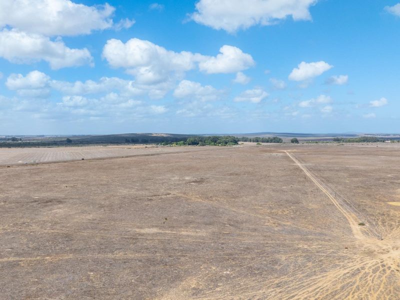 Prime 179.5 Hectare Development Opportunity on the R27 - Photo 6