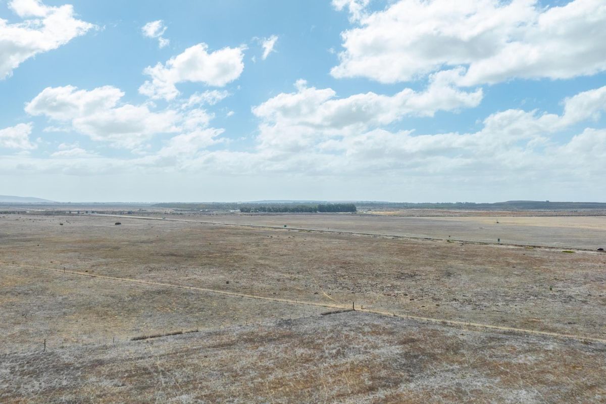 Prime 179.5 Hectare Development Opportunity on the R27 - Photo 2