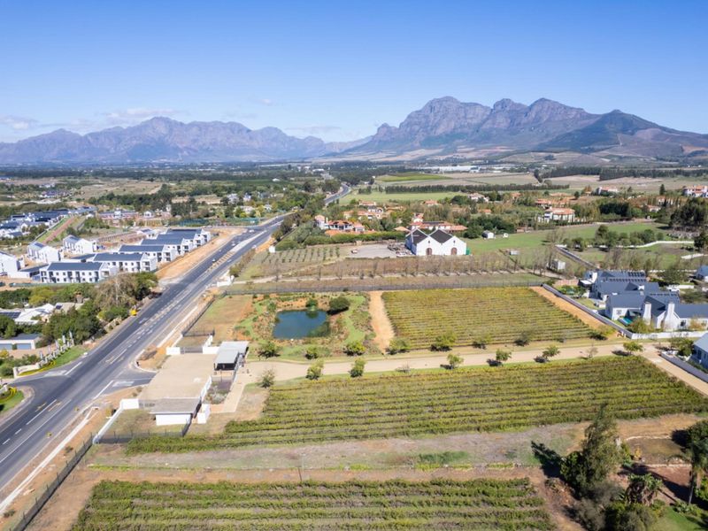 Aerial view of a residential vacant land plot featuring established vineyards, a small pond, and convenient access to the main road.