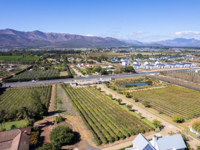 Aerial view of a residential vacant land plot featuring established vineyards, a small dam, and secure gated access with mountain views.
