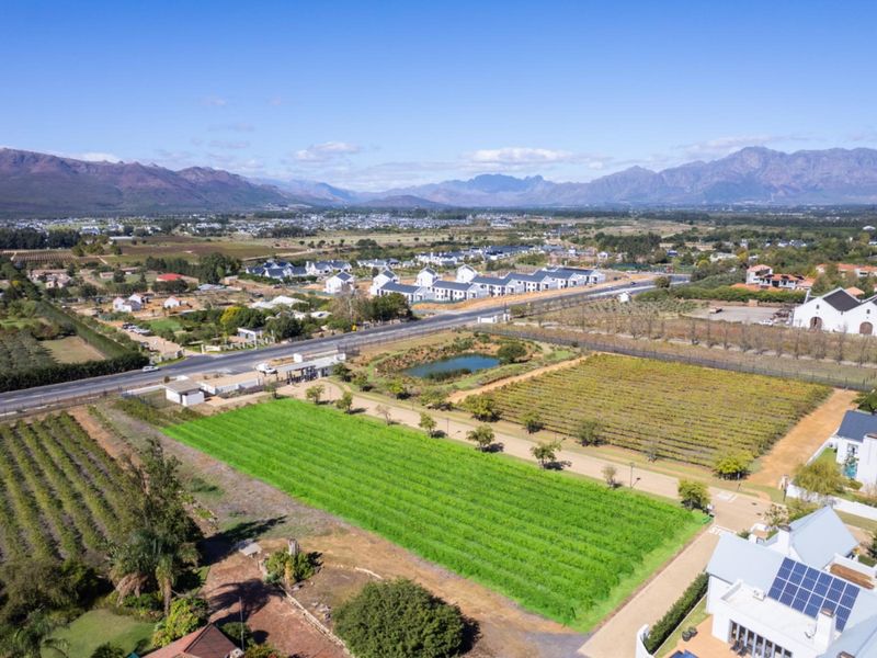 Aerial view of a residential vacant land plot featuring established vineyards, a small pond, and surrounding mountain views in a scenic estate setting.