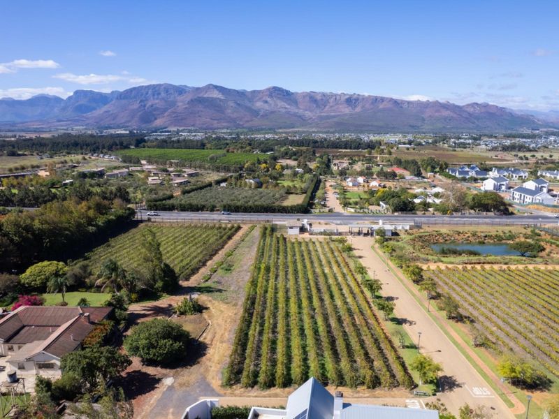 Aerial view of a residential property featuring a vineyard, private driveway, gated entrance, and scenic mountain backdrop.