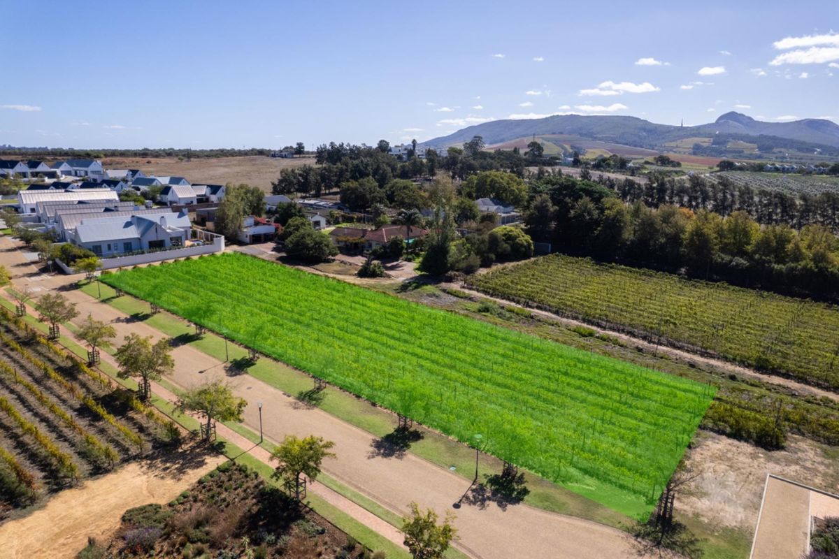 Aerial view of a vacant residential plot situated within a scenic estate, featuring established landscaping and adjacent vineyard views.