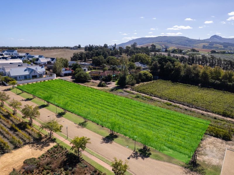 Aerial view of a vacant residential plot situated within a scenic estate, featuring established landscaping and adjacent vineyard views.