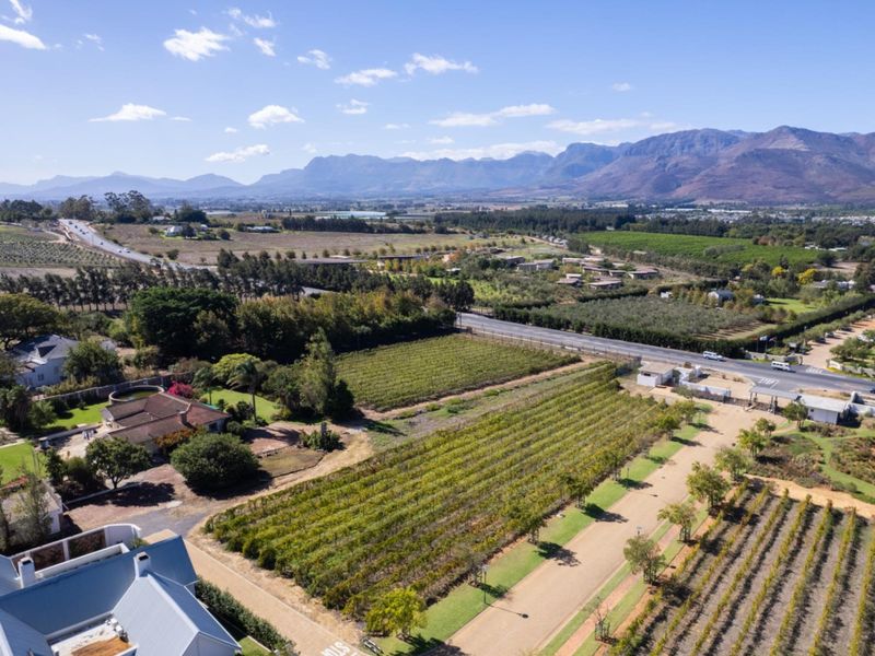 An aerial view of a residential property featuring established vineyards, landscaped grounds, and scenic mountain views in the surrounding area.