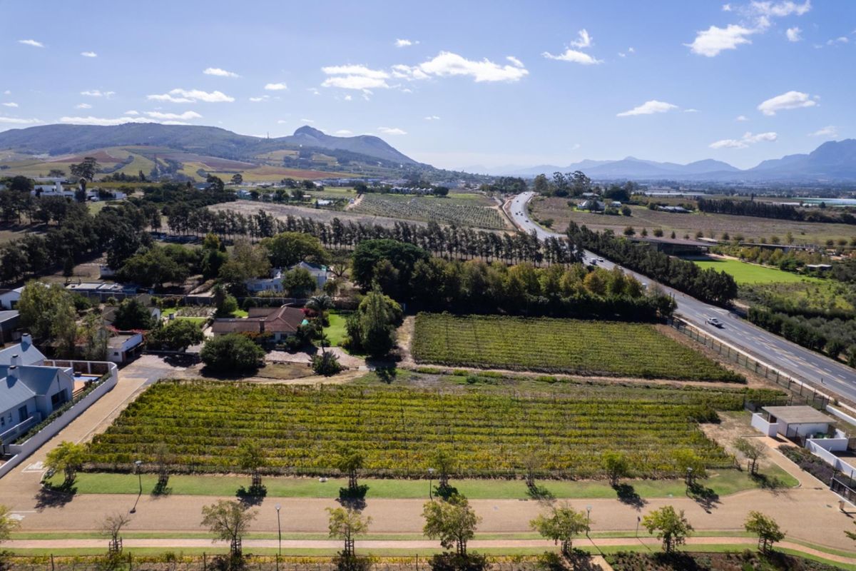 An aerial view of the residential land plot featuring established vineyard rows, mature trees, and proximity to local road infrastructure.