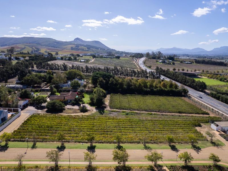 An aerial view of the residential land plot featuring established vineyard rows, mature trees, and proximity to local road infrastructure.