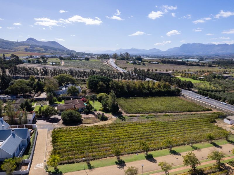 An aerial view of a residential property featuring a vineyard, landscaped grounds, and a paved driveway, set against a scenic mountain landscape.