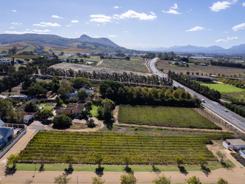An aerial view of a residential property featuring a vineyard, landscaped gardens, and proximity to a main road with scenic mountain views.