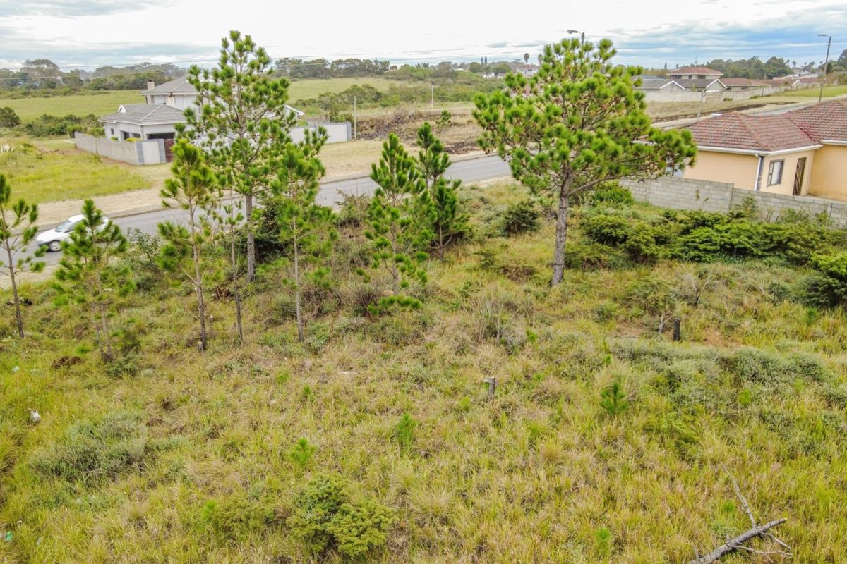 VACANT LAND IN GONUBIE - Photo 3