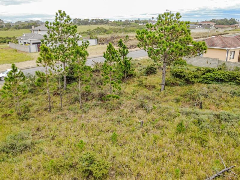 VACANT LAND IN GONUBIE - Photo 3
